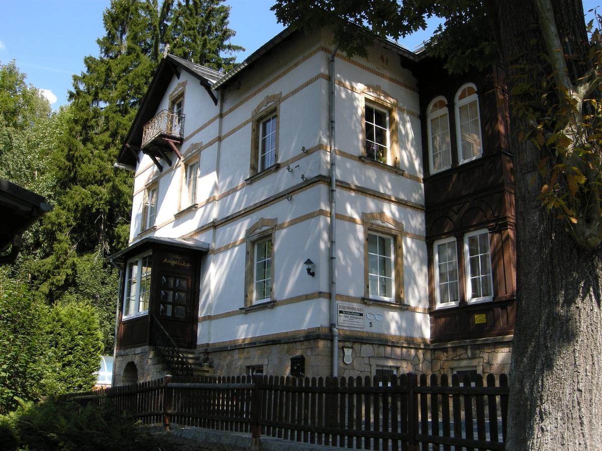Villa Angelika Altenberg ภายนอก รูปภาพ